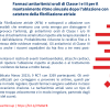 Farmaci antiaritmici orali di Classe I e III per il mantenimento ritmo sinusale dopo l'ablazione con catetere della fibrillazione atriale