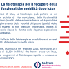 La fisioterapia per il recupero della funzionalità e mobilità dopo ictus