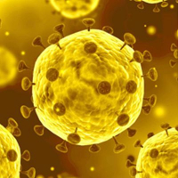 Representation of a COVID-19 Virus