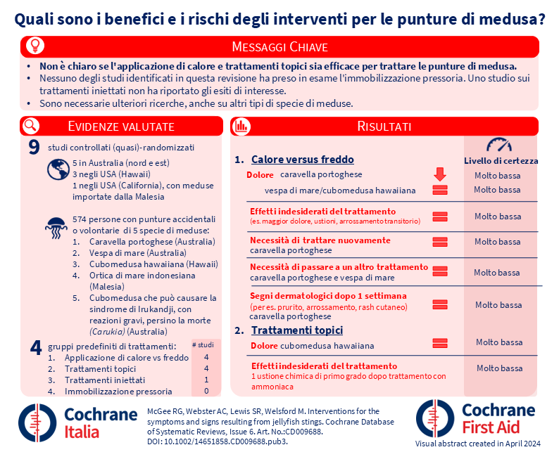 Visual abstract meduse 2025